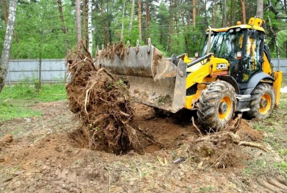 Удаление пней и корчевание вручную и со спецтехникой стоимость услуг и где заказать - Томск