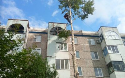 Спил и вырубка деревьев - Томск, цены, предложения специалистов