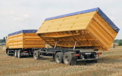 Услуги зерновозов для перевозки зерна - Кожевниково, цены, предложения специалистов