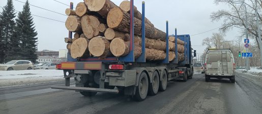 Поиск транспорта для перевозки леса, бревен и кругляка стоимость услуг и где заказать - Томск
