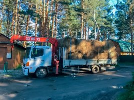 грузоперевозки стоимость услуг и где заказать - Томск
